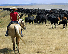 USA-Wyoming-New Haven Ranch